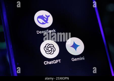 Hong Kong, Cina. 25 febbraio 2025. In questa immagine, le app di intelligenza artificiale (ai) di DeepSeek, ChatGPT, Gemini, visualizzate sullo schermo di uno smartphone. Credito: SOPA Images Limited/Alamy Live News Foto Stock