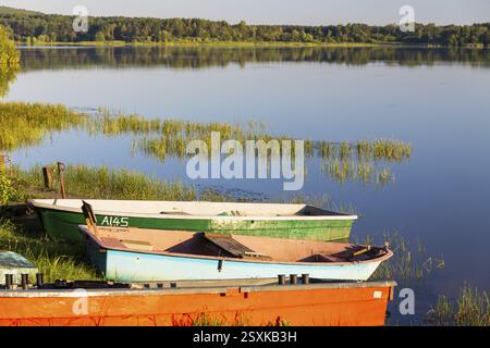 Barche a remi ormeggiate al vecchio lido della diga di Quitzdorf, alta Lusazia, Sassonia, Germania, Europa Foto Stock