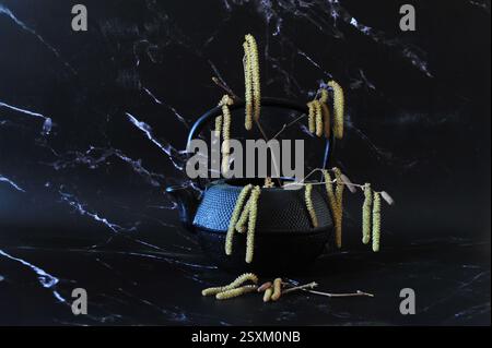 Foto di basso profilo della teiera di ferro nera riempita di gattini su sfondo scuro. Immagine orizzontale con spazio di copia. Foto Stock