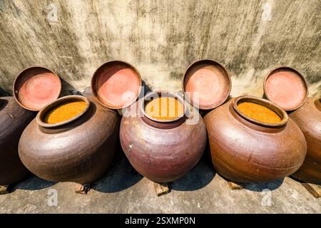 La salsa di soia viene preparata in grandi vasi di terracotta in un cortile nel piccolo villaggio di Bần Yên Nhân, alla periferia di Hanoi. Foto Stock