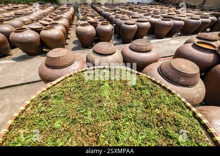 La salsa di soia viene preparata in grandi vasi di terracotta in un cortile nel piccolo villaggio di Bần Yên Nhân, alla periferia di Hanoi. Foto Stock