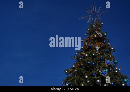 vero albero di natale fresco con pini, palle d'argento e blu su sfondo blu. decorazioni prima delle vacanze. Foto Stock