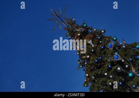 vero albero di natale fresco con pini, palle d'argento e blu su sfondo blu. decorazioni prima delle vacanze. Foto Stock