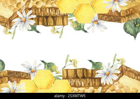 Pettini di miele dolce in un modello per striscioni ad acquerello con fiori a margherita bianchi e illustrazione verde in tiglio. Telaio isolato per alimenti biologici, esagono giallo Foto Stock