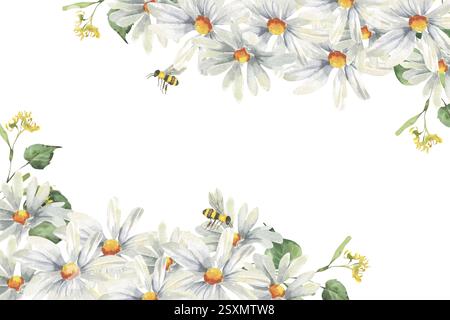 Modello per striscioni ad acquerello con margherite bianche. Cornice disegnata a mano con falesia di fiori selvatici, elementi botanici bianchi con api per le poste festive Foto Stock