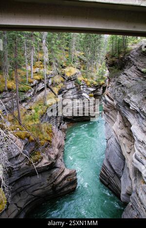 Uno stretto canyon con ripide formazioni rocciose e un fiume turchese che scorre rapidamente, circondato da alberi lussureggianti e da un ponte sopra Foto Stock