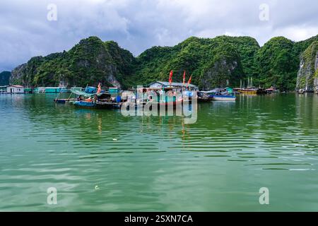 Barche da pesca nel villaggio di pescatori di Cai Beo, il più grande antico villaggio di pescatori del Vietnam nella baia di LAN ha, Cat Ba, parte della baia di ha Long, Vịnh Hạ Long. Foto Stock