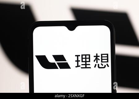 In questa immagine, il logo li Auto viene visualizzato sullo schermo di uno smartphone. Foto Stock