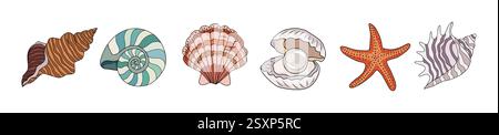 Conchiglie marine e stelle marine. Animali marini Illustrazione Vettoriale