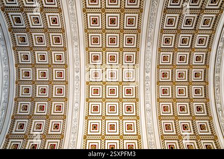 WASHINGTON DC - il soffitto della David M. Rubenstein Treasures Gallery nella Library of Congress presenta elaborate decorazioni geometriche a motivi caratteristici dello stile architettonico Beaux-Arts dell'edificio. Situato all'interno dello storico edificio Thomas Jefferson, il soffitto decorato della galleria mostra precisi motivi geometrici, modanature decorative e motivi simmetrici che esemplificano l'artigianato del periodo rinascimentale americano. Questo soffitto riccamente ornato serve come punto di riferimento architettonico sopra la galleria dedicata all'esposizione di oggetti rari e significativi del Lib Foto Stock