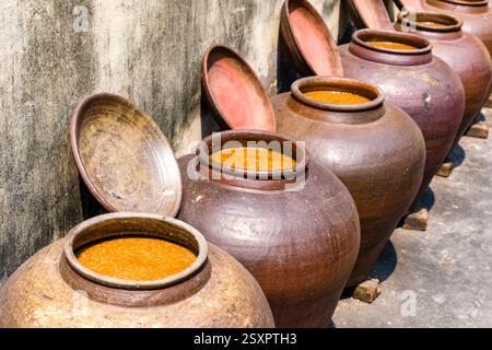 La salsa di soia viene preparata in grandi vasi di terracotta in un cortile nel piccolo villaggio di Báºßn YÃªn NhÃn, alla periferia di Hanoi. Ban Yen Nhan Hanoi Provin Foto Stock