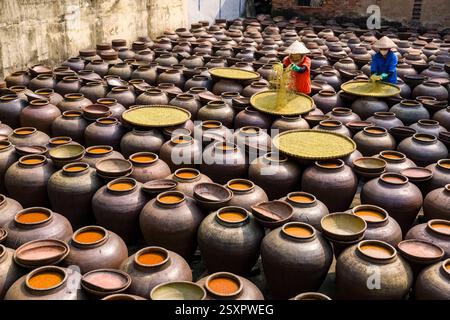 La salsa di soia viene prodotta in grandi vasi di terracotta in un cortile nel piccolo villaggio di Báºßn YÃªn NhÃn, alla periferia di Hanoi, due donne con coniche Foto Stock