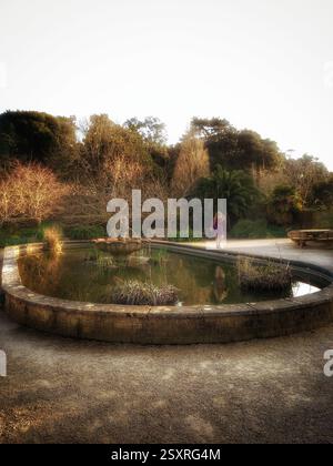 Tramonto ai Giardini Botanici di Ventnor, Isola di Wight, Inghilterra Foto Stock