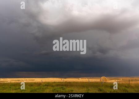 Le nuvole di tempesta scura minacciose si stanno radunando sulle balle di fieno in un campo, creando un contrasto spettacolare e bellissimo Foto Stock