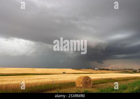 Le nuvole di tempesta scure si insinuano su un campo di grano raccolto, creando un contrasto drammatico Foto Stock