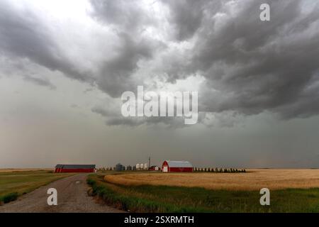 Nuvole di tempesta scure si stanno radunando sopra una fattoria nelle praterie canadesi Foto Stock