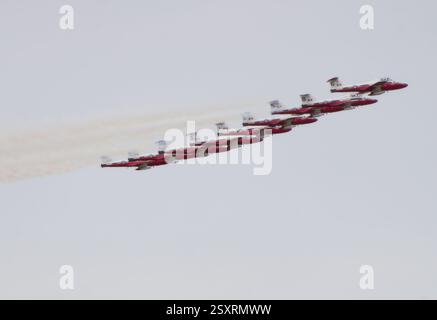 Il team di dimostrazione degli uccelli da neve delle forze canadesi esegue una graziosa manovra aerobatica, lasciando una scia di fumo bianco Foto Stock