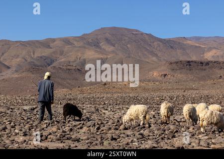 La Gola di Tislit si trova nella regione di Jebel Sirwa, che si trova nelle montagne dell'Anti-Atlante del Marocco. Foto Stock