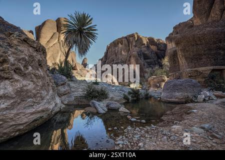 La Gola di Tislit si trova nella regione di Jebel Sirwa, che si trova nelle montagne dell'Anti-Atlante del Marocco. Foto Stock