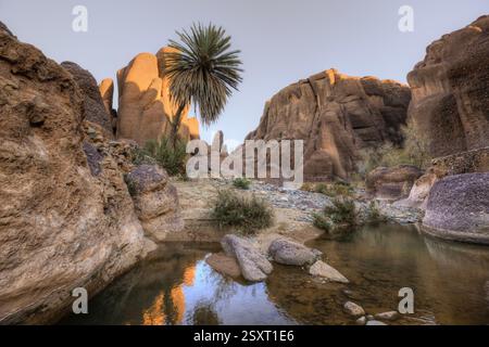 La Gola di Tislit si trova nella regione di Jebel Sirwa, che si trova nelle montagne dell'Anti-Atlante del Marocco. Foto Stock