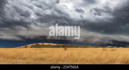 Tempeste serali che attraversano la campagna di Blayney, nel centro-ovest del nuovo Galles del Sud, Australia. Foto Stock