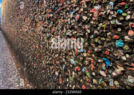 San Luis Obispo, Slo County, California, Stati Uniti. 18 febbraio 2025. Chewing gum e Bubble gum sulle pareti e sul pavimento di Gum Alley a San Luis Obispo, Slo County, California, USA. Bubblegum Alley è un'attrazione turistica nel centro di San Luis Obispo, California, nota per il suo accumulo di gomma da bolle usate sulle pareti di un vicolo. [1] è un vicolo alto 4,6 m e lungo 70 piedi (21 m) fiancheggiato da gomma da masticare lasciato dai passanti. Copre un tratto di 20 metri nell'isolato 700 di Higuera Street nel centro di San Luis Obispo. Crediti: Nidpor/Alamy Live News Foto Stock