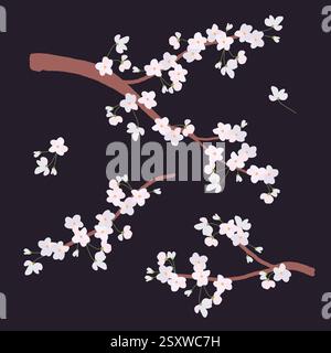 Rami di ciliegio bianchi in stile piatto. Delicati fiori di ciliegio per biglietti d'auguri per la festa della mamma, giornata internazionale della donna. Clipart vettoriale. Festival tradizionale giapponese di Hanami. Illustrazione Vettoriale