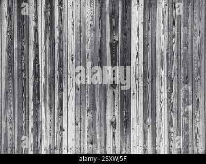 Tavole di legno grigie intemprate che mostrano nodi e grana, creando una consistenza rustica Foto Stock