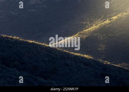 La luce soffusa del mattino rivela i contorni delle colline lussureggianti, creando un'atmosfera serena e tranquilla in natura. Foto Stock