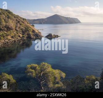 La luce del sole si riflette nelle acque calme di Cap Norfeu, dove la natura si dispiega nella sua bellezza a Roses, in Catalogna. Foto Stock
