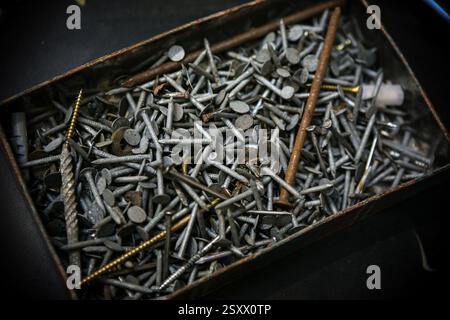 Chiodi e viti assortiti in un contenitore metallico per primo piano Foto Stock