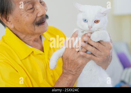 Vecchio in camicia gialla seduto in poltrona a casa e coccolante gatto bianco dolce. Concetto di terapia alternativa Foto Stock