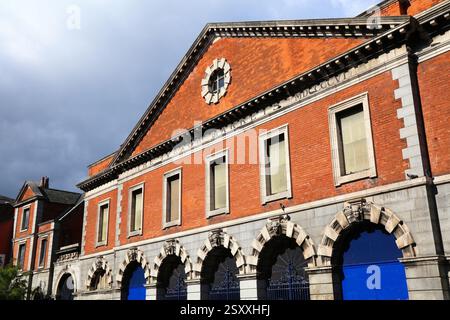 Il quartiere Liberties simbolo della città di Dublino, Irlanda. Edificio storico dei mercati di Iveagh. Foto Stock