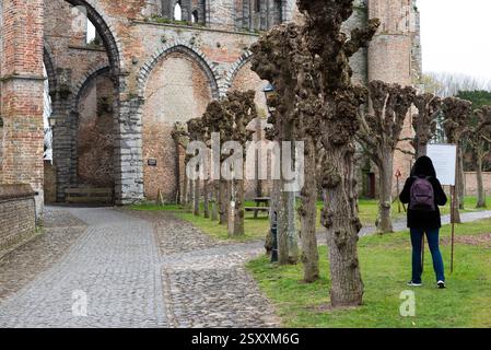 Damme, regione fiamminga - Belgio - 04 03 2021 - filari e sentieri nel cimitero Foto Stock