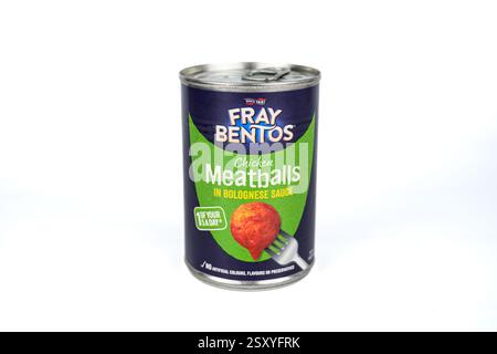Fray bentos polpette di pollo in salsa di pomodoro – Galles, Regno Unito – 18 febbraio 2025 Foto Stock