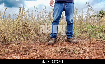 Un agricoltore brasiliano si trova su un terreno rosso molto secco di fronte al suo campo di soia Foto Stock