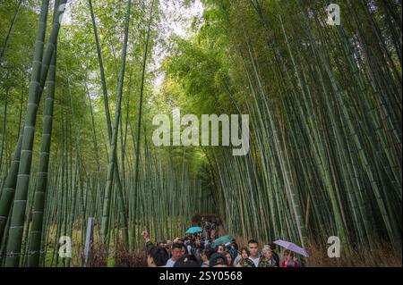 Turisti nella foresta di bambù di fama mondiale al Parco Arashiyama nel quartiere di Sagano, Kyoto, Giappone. Foto Stock