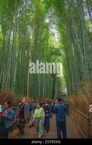 Turisti nella foresta di bambù di fama mondiale al Parco Arashiyama nel quartiere di Sagano, Kyoto, Giappone. Foto Stock