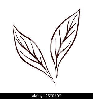 Elegante design a foglia di limone in stile art line. Design botanico per aromaterapia, cosmetici organici, medicina isolata su sfondo bianco. Illustrazione Vettoriale