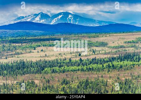 Foreste verdi e vivaci si estendono attraverso le pianure con maestose montagne innevate in Norvegia. Il cielo è luminoso con soffici nuvole, che mostrano un brea Foto Stock