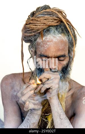 il santo indù spirituale che accende la canna di marijuana a mahakumbh mela Foto Stock