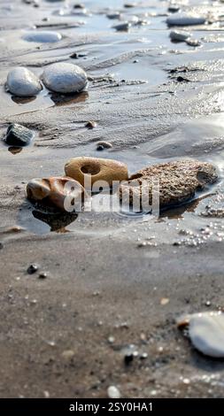 Ciottoli bagnati sulla spiaggia sabbiosa dopo la caduta della marea, mostrando bellezza naturale, consistenza e riflessi in un tranquillo ambiente costiero. Ideale per progetti naturalistici. Foto Stock