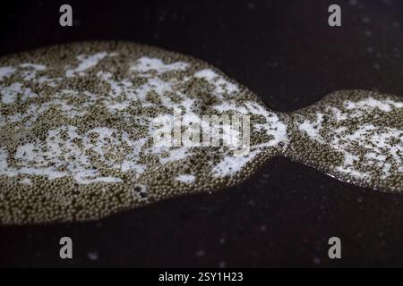burro in una padella calda, cuocere con burro che si scioglie in un primo piano di una padella nera Foto Stock