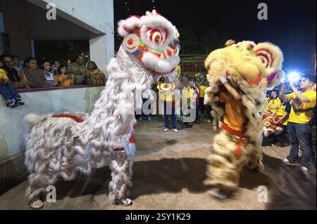 Festa di Capodanno cinese con concorso di danza con maschera di leone, Calcutta Kolkata, Bengala Occidentale, India, Asia Foto Stock