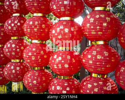 Lanterne rosse cinesi alla celebrazione del nuovo anno lunare nel South Coast Botanic Garden di Los Angeles, California, Stati Uniti d'America Foto Stock