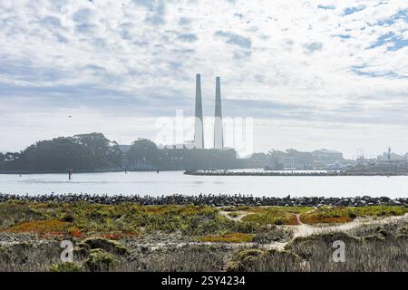 Moss Landing Power Plant, di proprietà di Vistra Energy, sede di un incendio a batteria agli ioni di litio scoppiato giovedì 16 gennaio 2025. Foto Stock