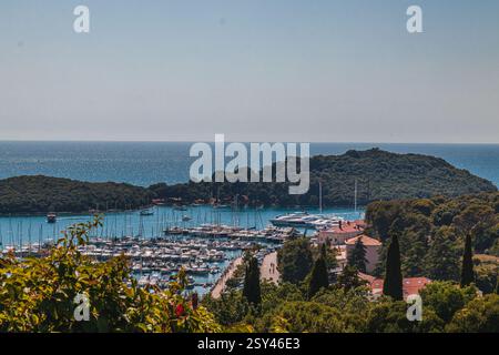 Vista aerea del porto di Vrsar Orsera città di Vrsar Croazia foto di alta qualità Foto Stock