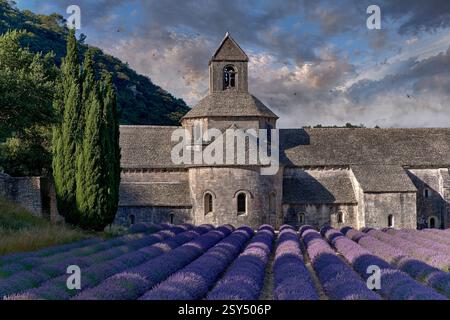 L'abbazia romanica cistercense del XII secolo di Notre Dame di Senanque ( 1148 ) è situata tra i campi di lavanda fioriti della Provenza, Gordes, Francia Foto Stock