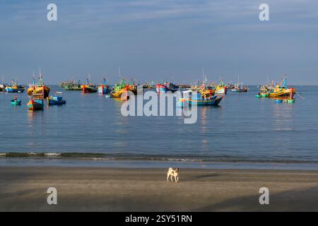 Molte colorate barche da pesca sono ancorate al largo della spiaggia di Mui ne, Mũi ne, un piccolo cane cammina sulla sabbia della spiaggia. Foto Stock