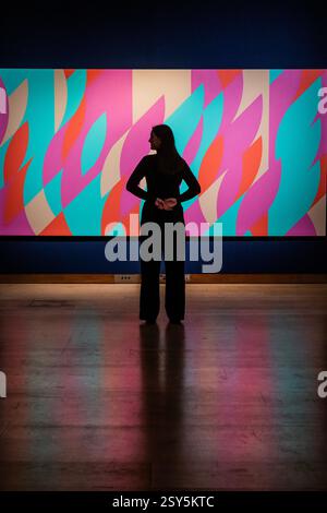 Londra, Regno Unito. 27 febbraio 2025. Daphne di Bridget Riley, stima GBP 1.200.000 - 1.800.000 - Anteprima per la vendita serale di Londra del XX/XXI secolo e la vendita serale Art of the Surreal a Christies, Londra. Crediti: Guy Bell/Alamy Live News Foto Stock